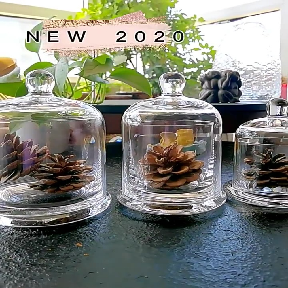 Food Storage In Plants - Glas-Vorratsgefäß für Ewige Blumen in 8