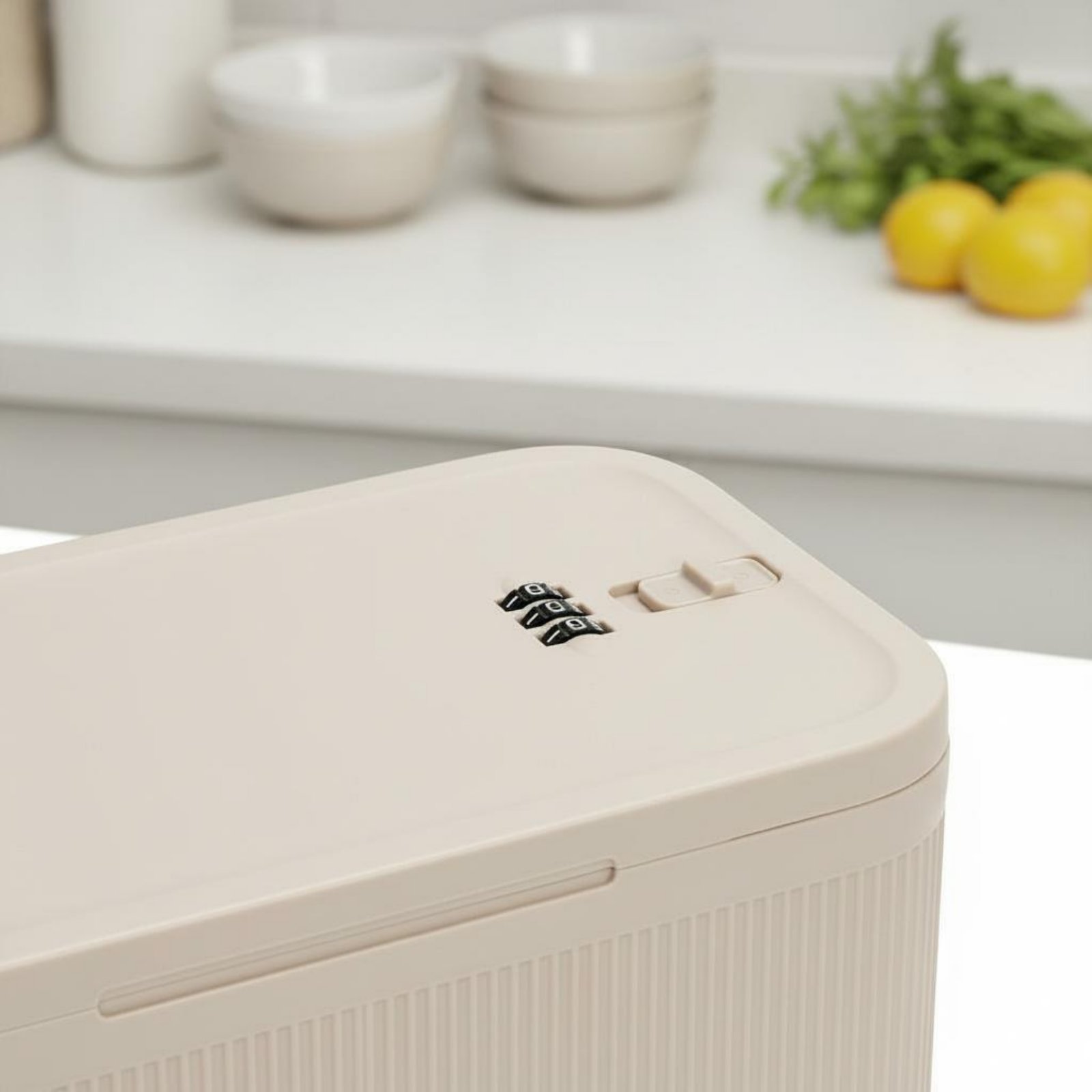Kombinationsschloss-Box Geruch – Food Storage Lock Box Bewertung und Preis