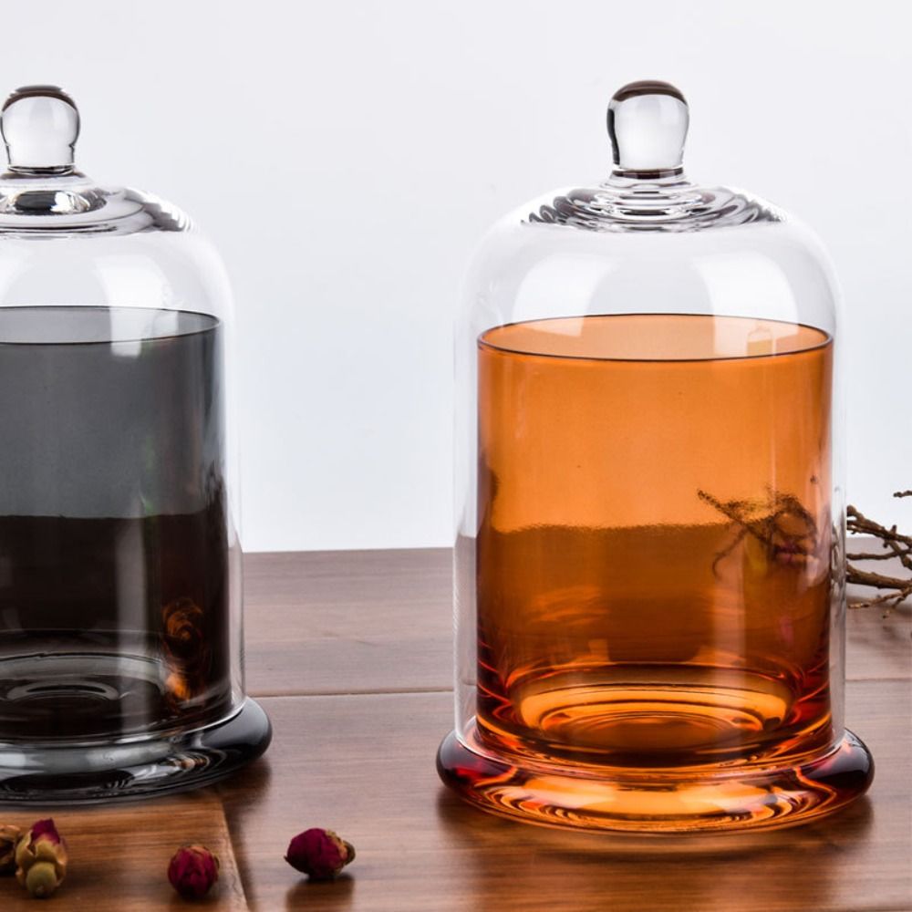 Glas-Vorratsgefäß für Ewige Bl – Food Storage In Plants Bewertung und Preis