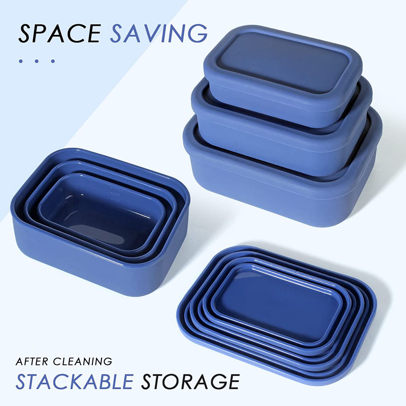 Auslaufsichere Bento-Lunchbox, – Food Storage Containers B&M Bewertung und Preis
