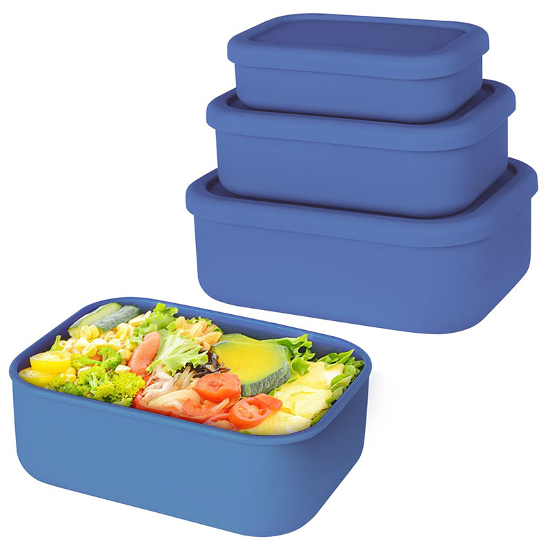 Auslaufsichere Bento-Lunchbox, – Food Storage Containers B&M Bewertung und Preis