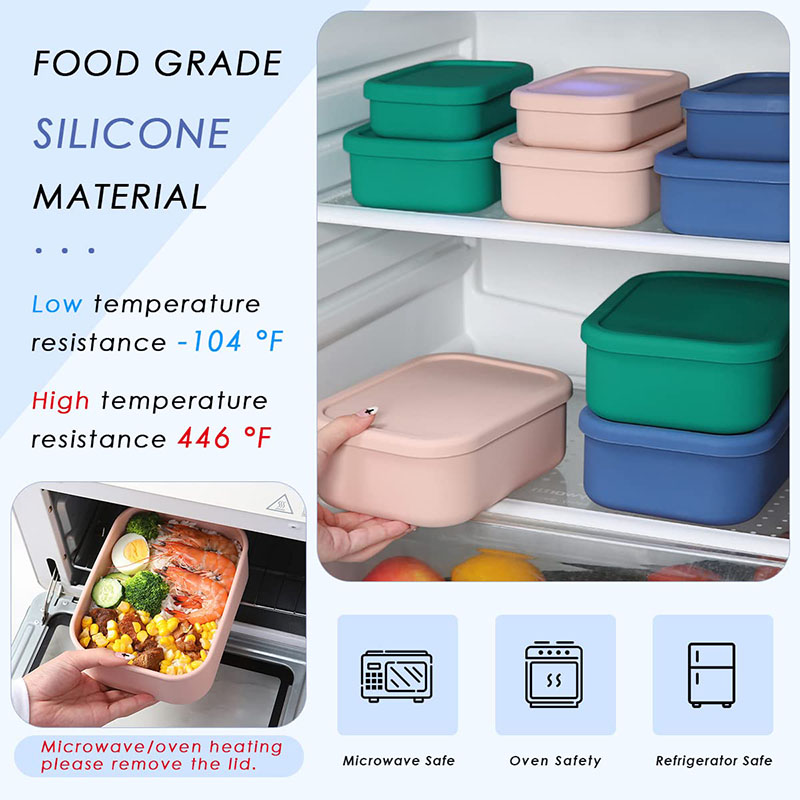 Auslaufsichere Bento-Lunchbox, – Food Storage Containers B&M Bewertung und Preis