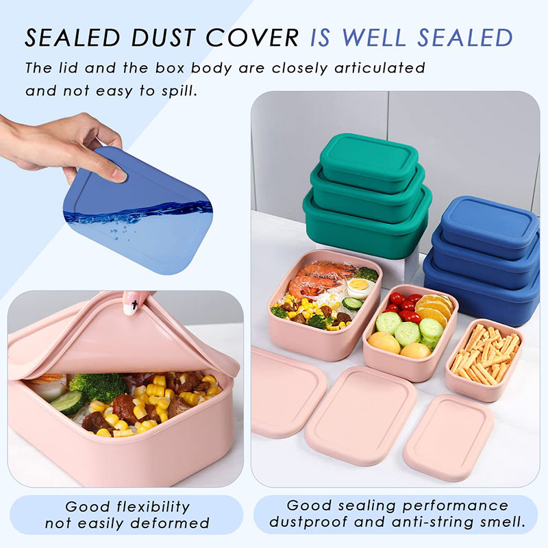 Auslaufsichere Bento-Lunchbox, – Food Storage Containers B&M Bewertung und Preis